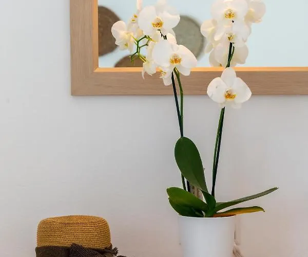 Отель Galinos For Adults Only Парос