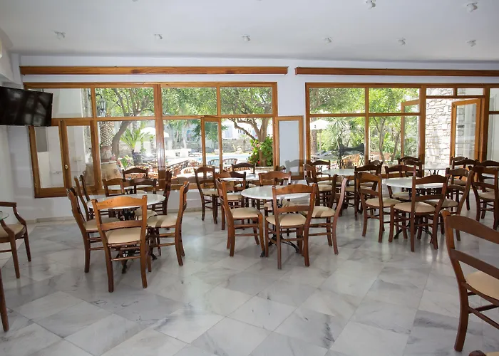 Galinos For Adults Only 3*