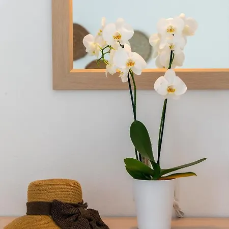 Hotel Galinos For Adults Only Páros